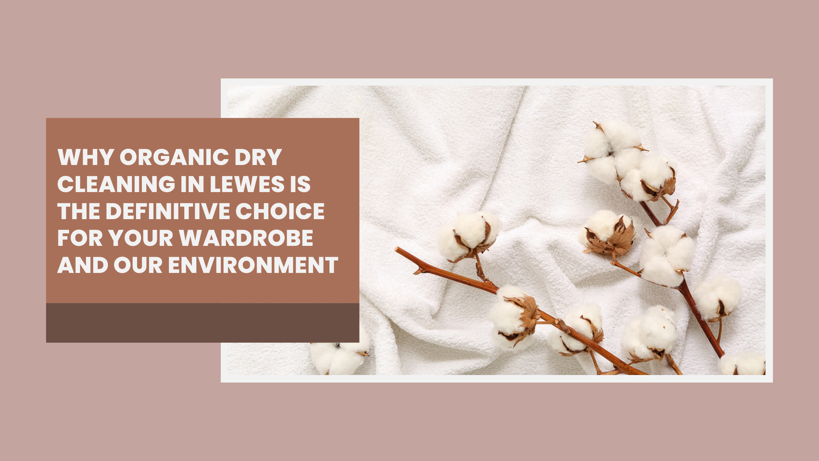 Organic Dry Cleaning in Lewes